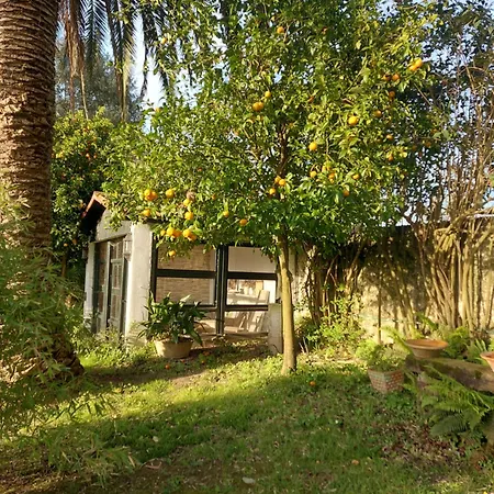 Casa Nogal