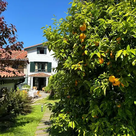 Casa Nogal Anero
